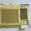 KSASell Classifieds